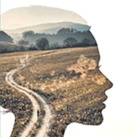 La quête d’un père